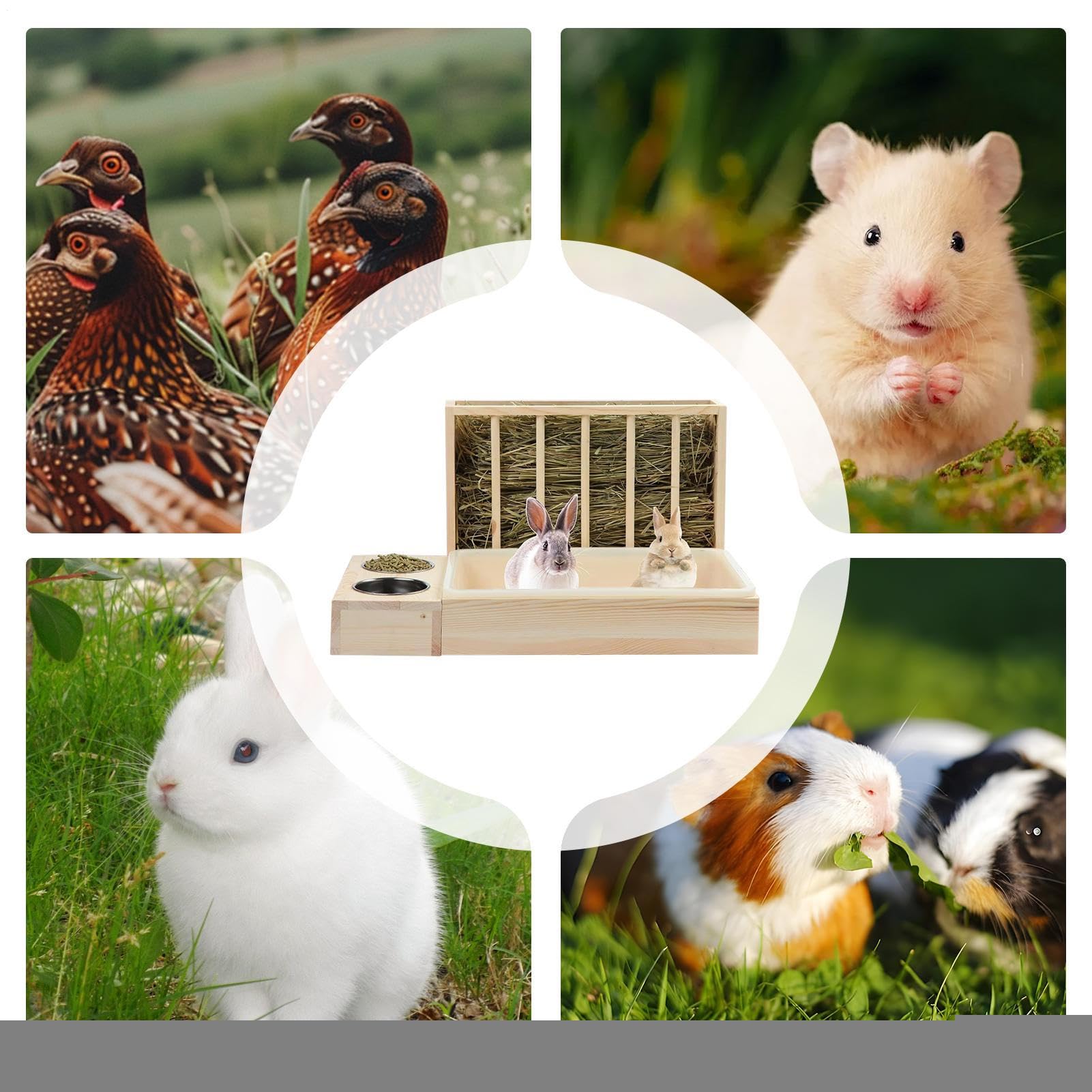 Mangiatoia Per Criceti Per Acqua In Legno Per Piccoli Animali | Alimentatore Per Gabbia Di Criceti Per Cibo Portafieno Per Furetto Cincillà Riccio Gallina Interno Esterno Viaggio Gabbia