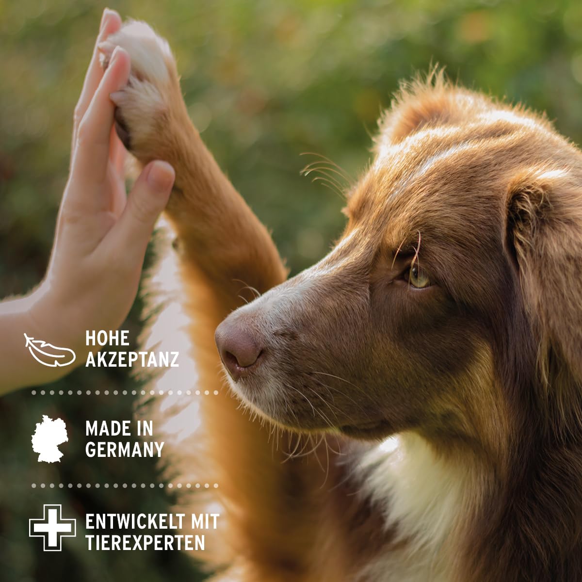 AniForte Denta Clean & Care Zahnpflege Pulver für Hunde & Katzen 300g – effektive & natürliche Zahnreinigung, gegen Mundgeruch, Zahnsteinentferner für Mundhygiene