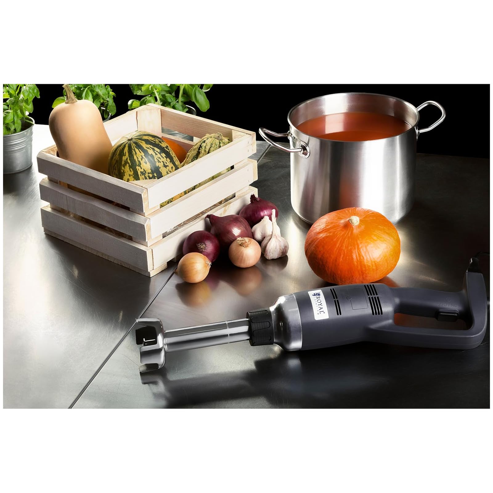 Royal Catering - RCSM-350-250 - Batidora de brazo profesional - 350 W - 250 mm - 18.000 RPM