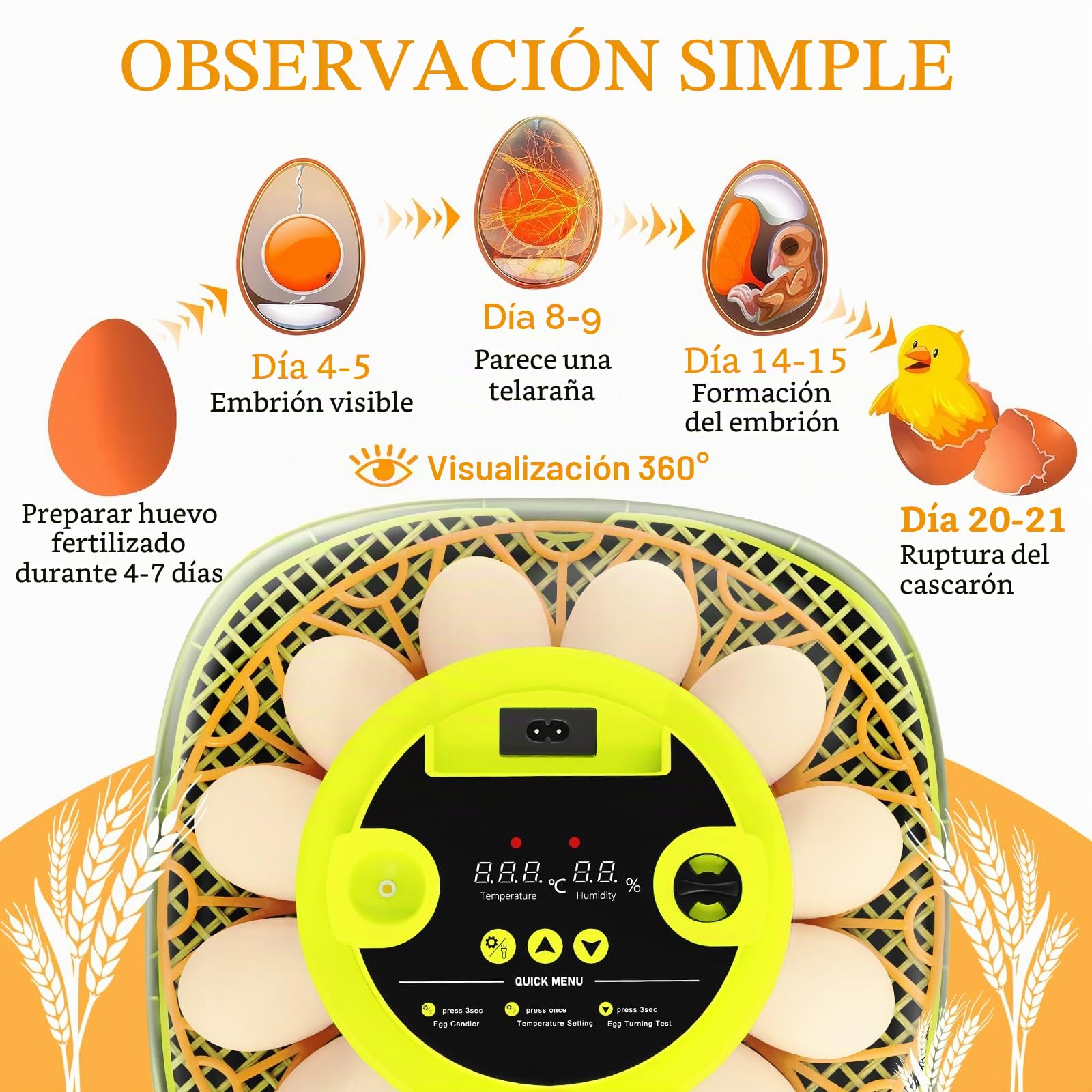 Incubadora de 12 huevos totalmente automática, incubadora de gallinas con suministro de agua automático y volteador de huevos automático, control de humedad, examinador de huevos para gallinas, patos