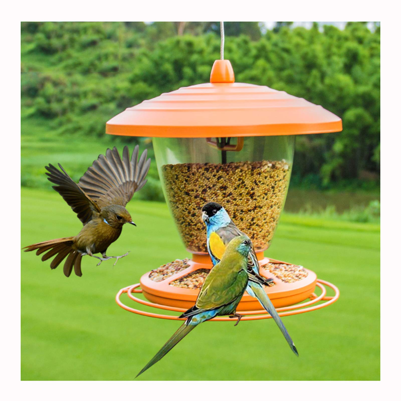 Futterspender für Vögel mit Anflugringen, Futterstation-Futtersäule für Wildvögel, Metall,Vogelfutterspender, vogelhaus zum aufhängen,transparente Outdoor Balkon Garten hängen Vogelhäuschen