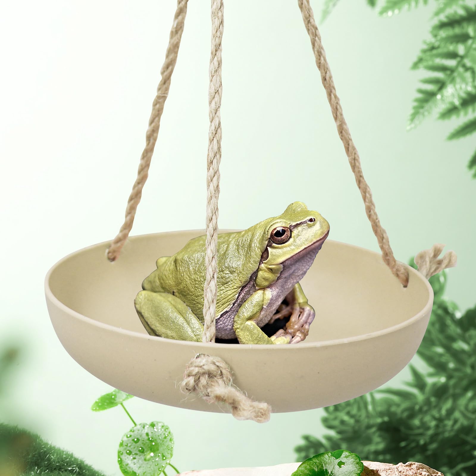 Neeenn Frog Swing Toys, Gecko Swing Toys, Plastic Reptile Amphibian Climbing Toys, Tank Aquarium Terrarium Decoration Accessories, Suitable for Frog Gecko Lizard Chameleon Hermit Crab (Beige, Small)