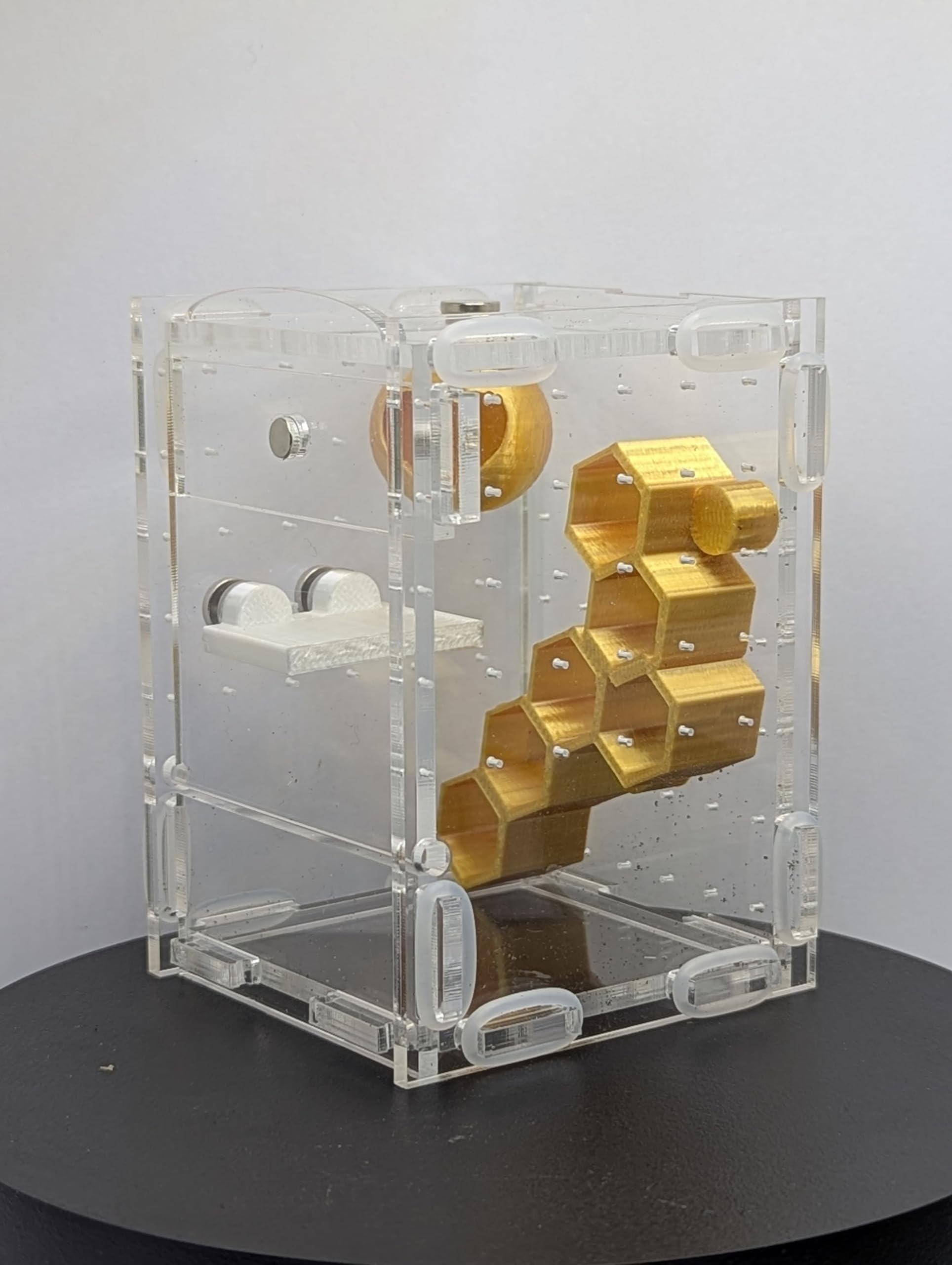 Jumping Spider Enclosure Full Setup with Decor included! Suitable for slings, pet spider, front opening, very secure 6cm X 6cm X 9cm Kit 360 Viewing (Gold) — view 4
