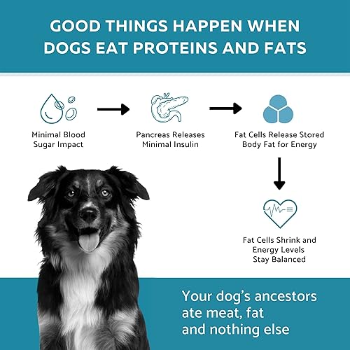 Miniatura 5 de Ketona Salmon Recipe Alimento seco para perros adultos, natural, bajo en carbohidratos (solo 5%), alto contenido de proteínas (46%), sin granos, la