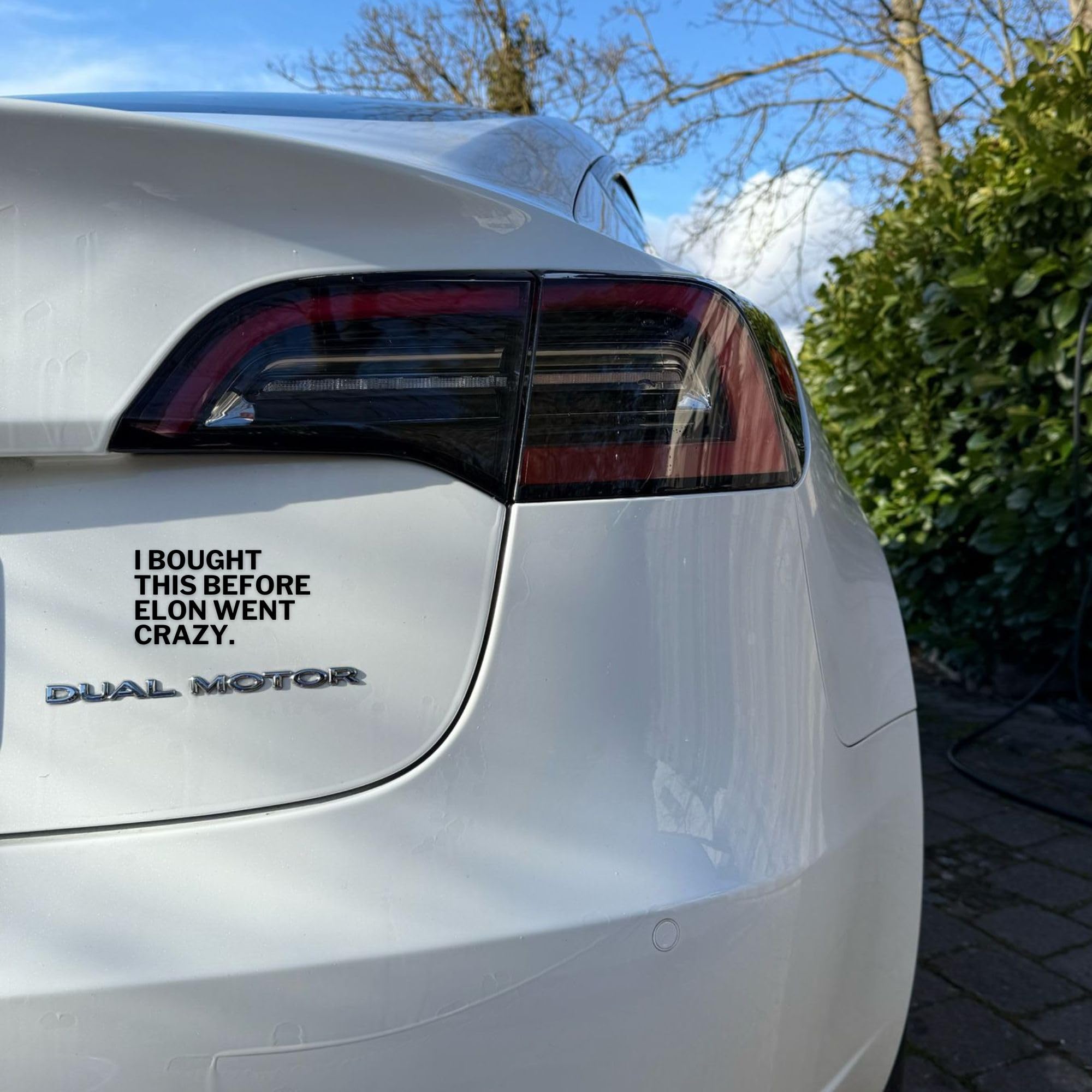 Autocollant Tesla Humoristique 'I Bought This Before Elon Went Crazy' - Anti-Elon Musk - Noir Et Vert