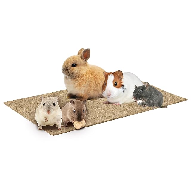 La Cordeline - Juego de 2 alfombras de Cama de cáñamo Natural, 25 x 40 cm, 1000 g/m², Base de Jaula…
