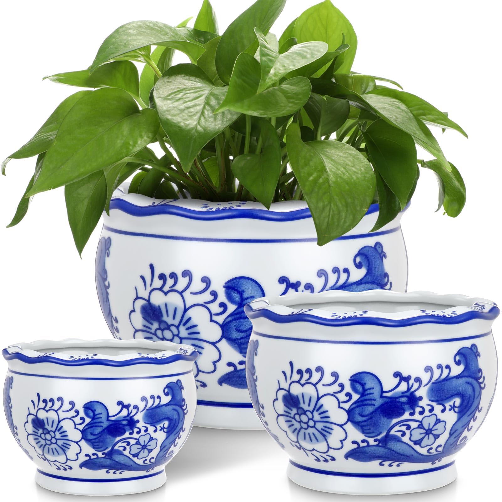 Briwooody Set of 3 Porcelain Pots