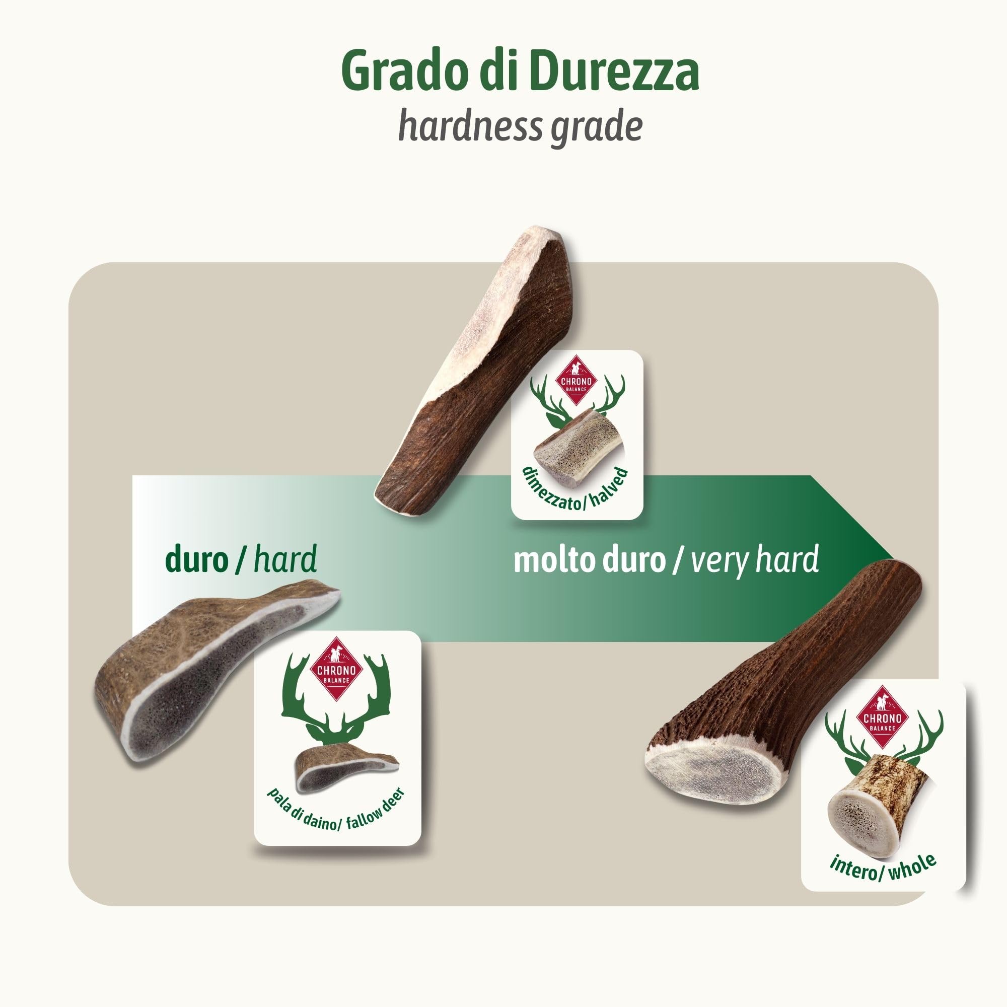 ChronoBalance-XL Corno di Cervo Daino per Cani, Confezione da 1, 100% Naturale, Osso di Cervo, Cura Dentale, Giocattolo per Cani, Ricco di Minerali e Nutrienti, Lunga Durata