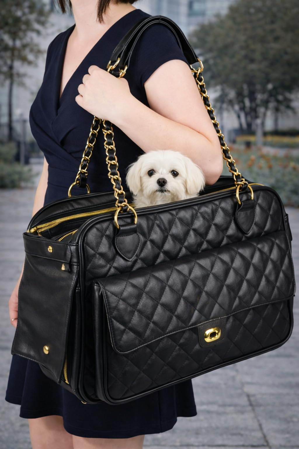 Trasportino per cani – gatti – Gigi – Borsa in similpelle con fondo rimovibile, ventilazione e tasca portaoggetti