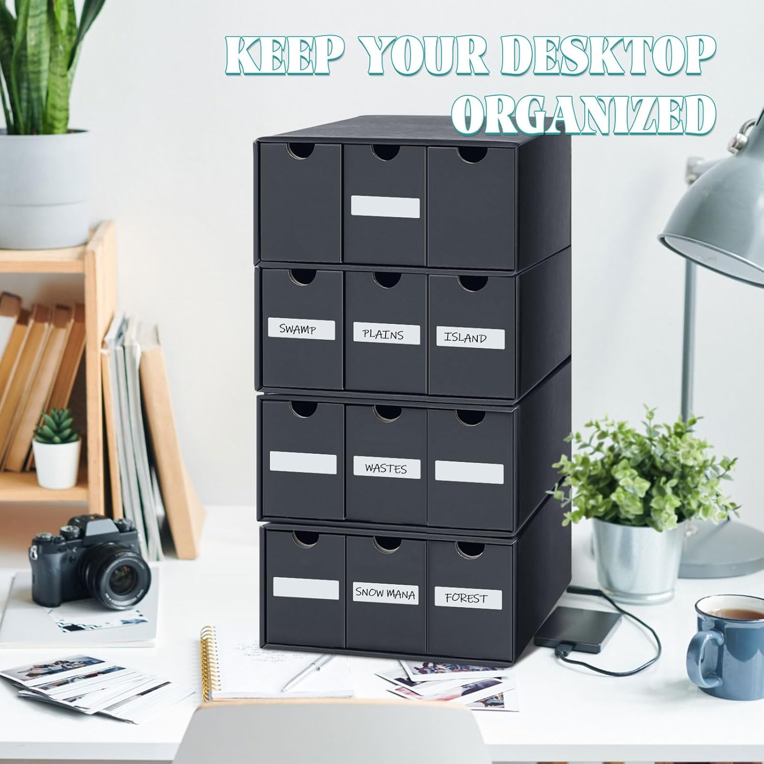 Cholemy Trading Card Storage Box Card Organizer 15000+ with 70 Cardboard Storage Divider, Label Sticker for Collection Compatible with Tcg, Sport Cards(4 Row, 3 in A Row,Black)