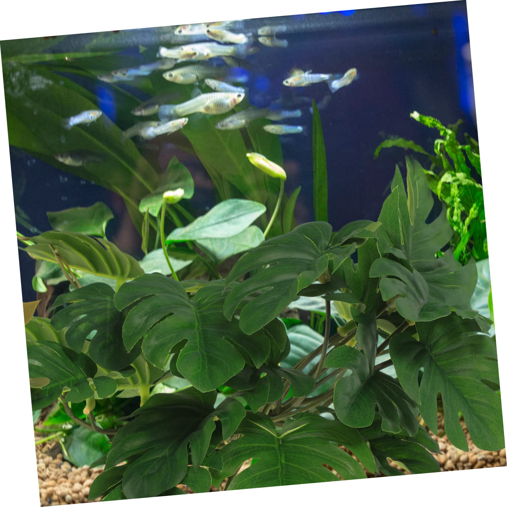 HANABASS 4stücke Terrarium Künstliche Pflanze Dekoration Simulierte Pflanzen Für Reptilien-Tanks Aquarium Und Heimdeko Pflanzenornamente Für Geckos Und Von Monstera