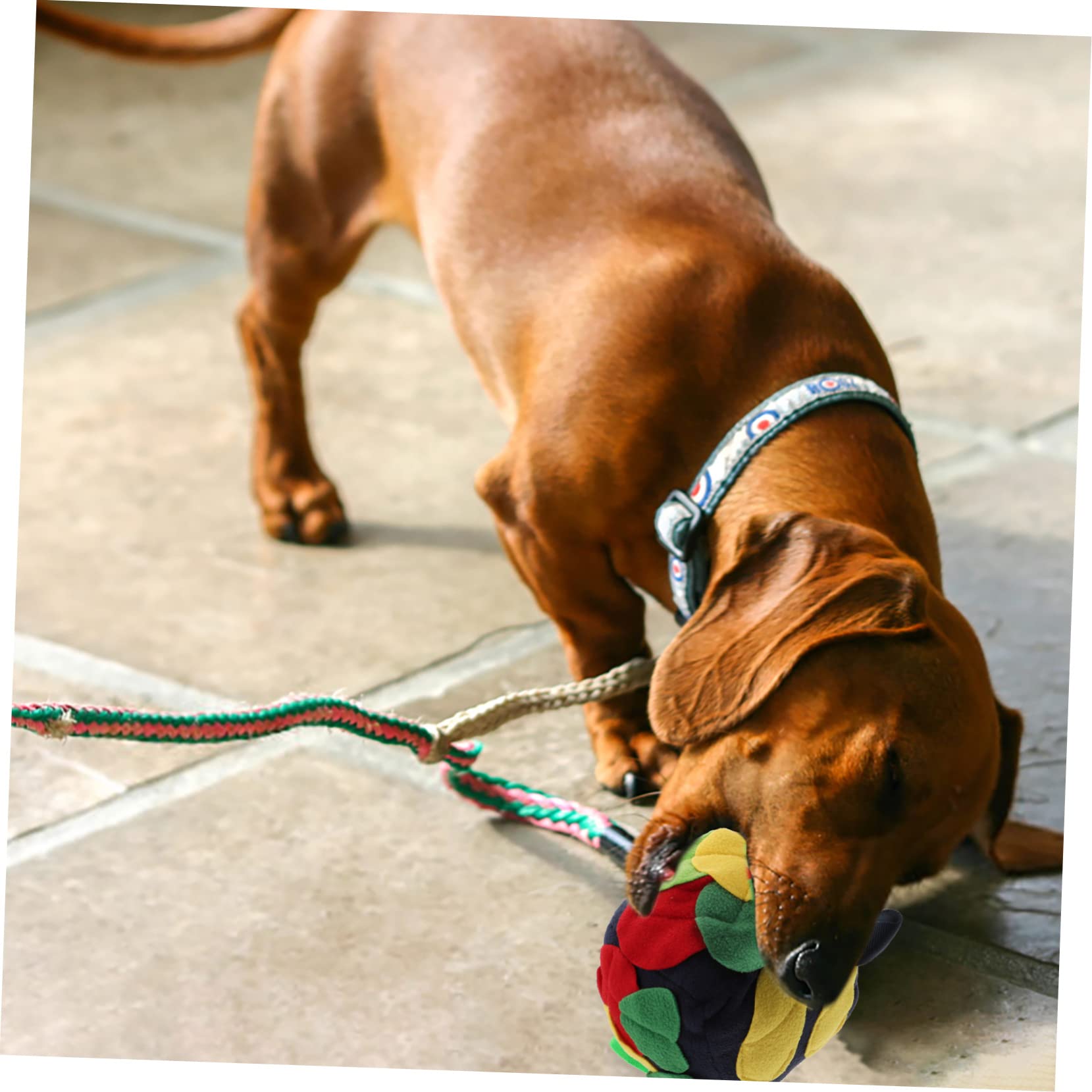 BESPORTBLE 3piezas Bola De Olfateo para Perros Juguete Interactivo Multifuncional Dispensador De Comida Entrenamiento De Olfato para Cachorros y Mascotas Retro