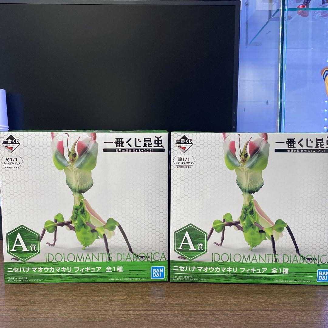 正規販売店】 ニセハナマオウカマキリ 一番くじ fawe.org