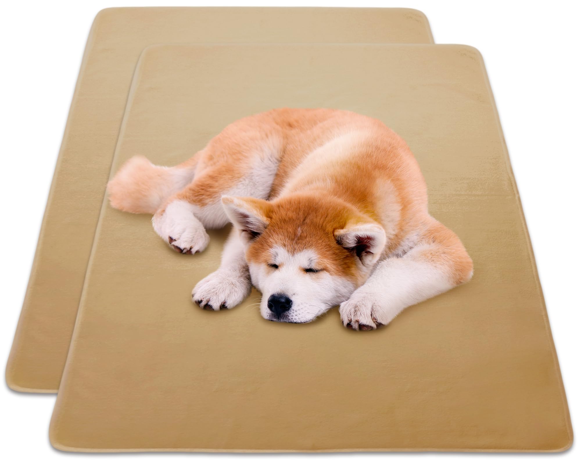 INULABO(イヌラボ) 大判 床保護マット (165×122cm(1枚