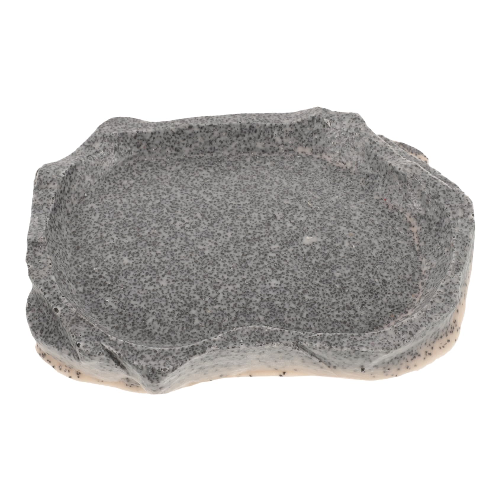 INOOMP 4piezas Tazón De para Reptiles Plato Reutilizable Simulación para Alimentación De Pequeñas para y Animales