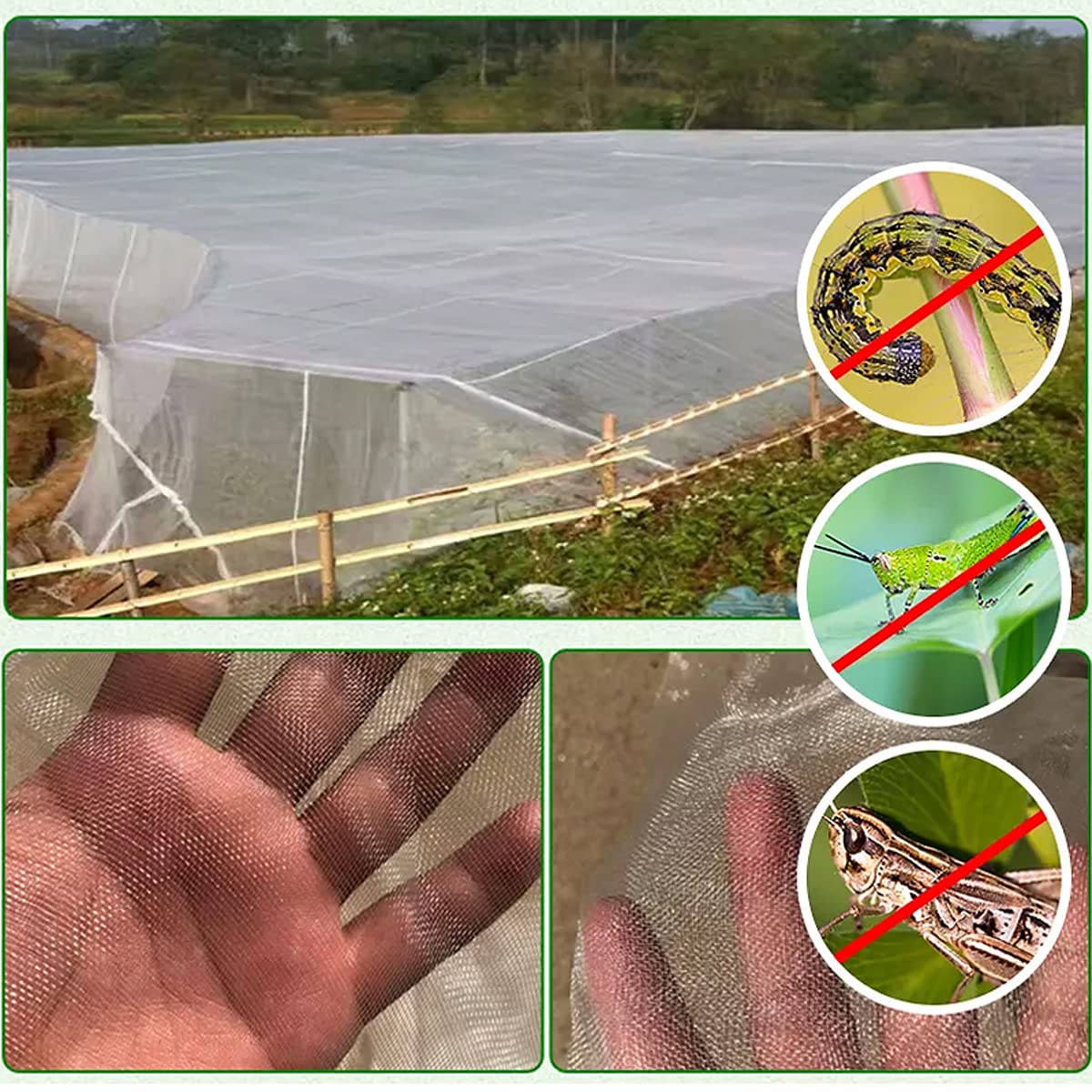 Filet de jardin en maille de qualité supérieure - 1 m x 15 m - Protection légère pour plantes vétérinaires, fleurs, cultures et fruits - Facile à utiliser - Filet de couverture de jardin pour une