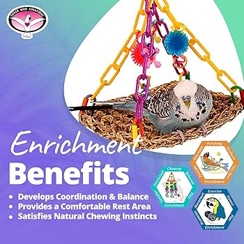 BIRD: TRANSIT for GIRLS 7冊セット BIRD: TRANSIT for GIRLS 7冊セット BIRD: TRANSIT for GIRLS 7