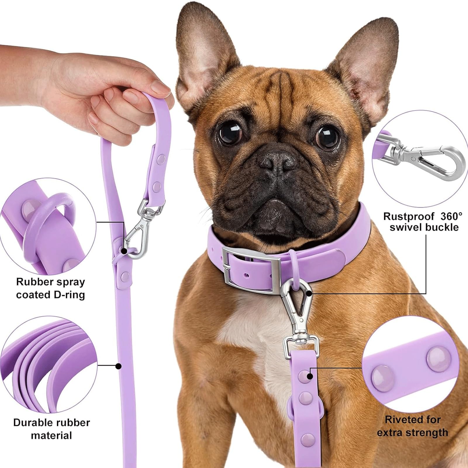 Set Di Pettorina Per Cani - Collare Regolabile, Pettorina, Guinzaglio E Porta Sacchetti Per Rifiuti - Resistente All'usura E Impermeabile | Adatto Per Le Passeggiate(M)