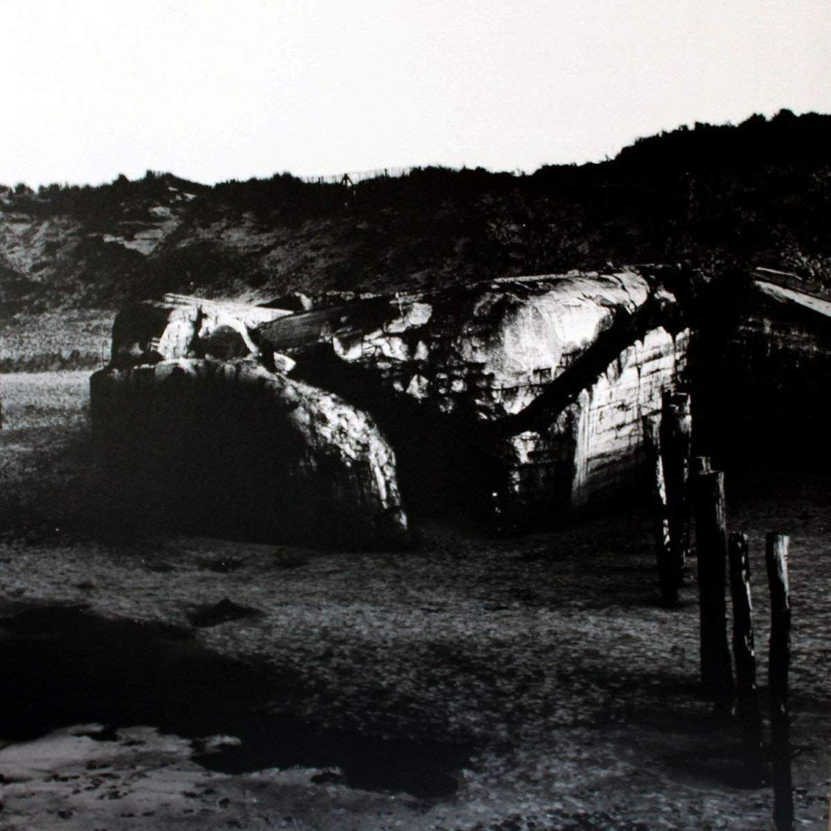 Mass V [VINYL]