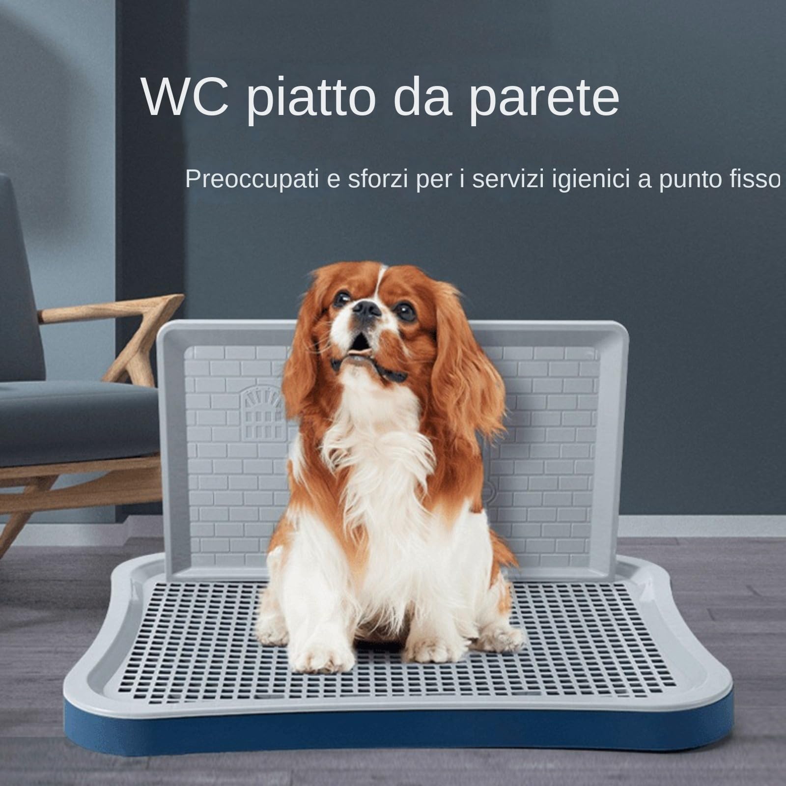 WC per Cani Cani Porta di pipì con Parete Alta Facile Pulizia Mantieni la lettiera per Cuccioli di Cuccioli a Secco della Zampa per condomini di, Grande Blu,Toilette per cani, orinatoi grandi, medi e