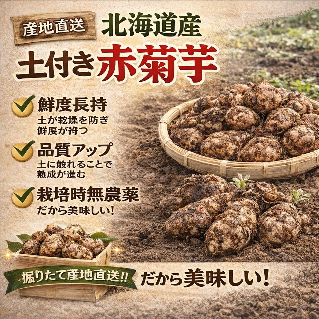 Amazon.co.jp: 完売御礼11月入荷予定 菊芋 北海道産 赤菊芋（紫菊芋