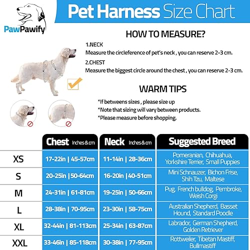 Miniatura 5 de PawPawify - Arnés para perro, antitirones, personalizable con nombre y número de teléfono, resistente para evitar tirones, ahorcamiento, ideal para