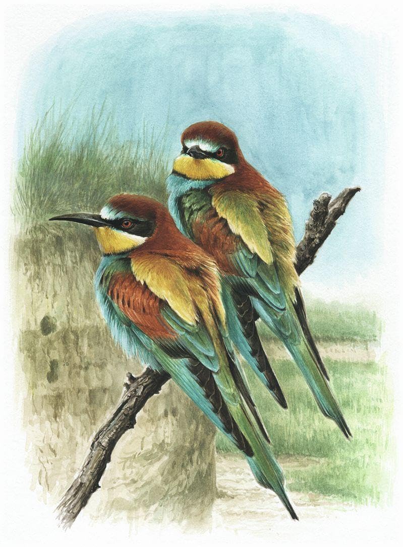 Atlas Deutscher Brutvogelarten (ADEBAR): Atlas of German Breeding Birds