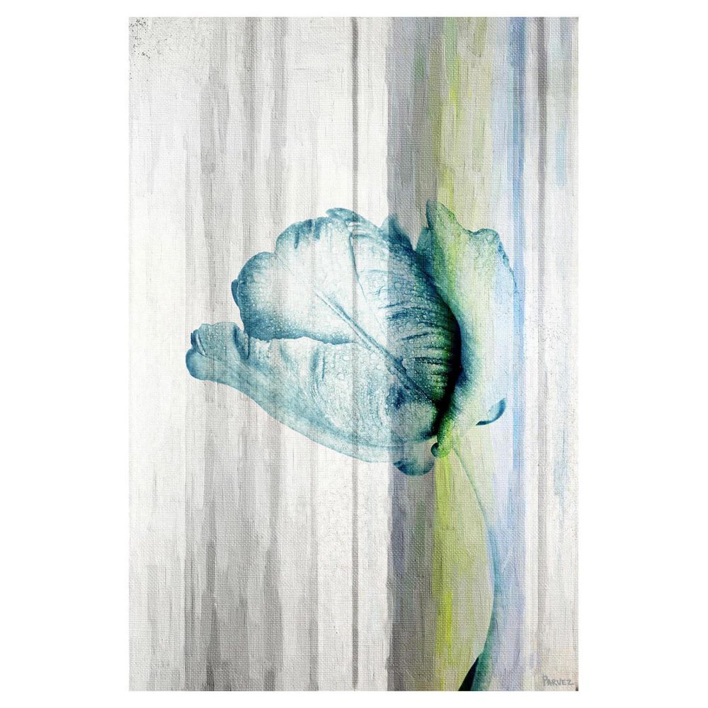 Parvez Taj Water Flower Painting Print on Wrapped Canvas -