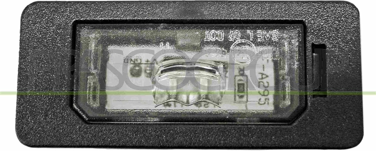 Rear License Plate Light