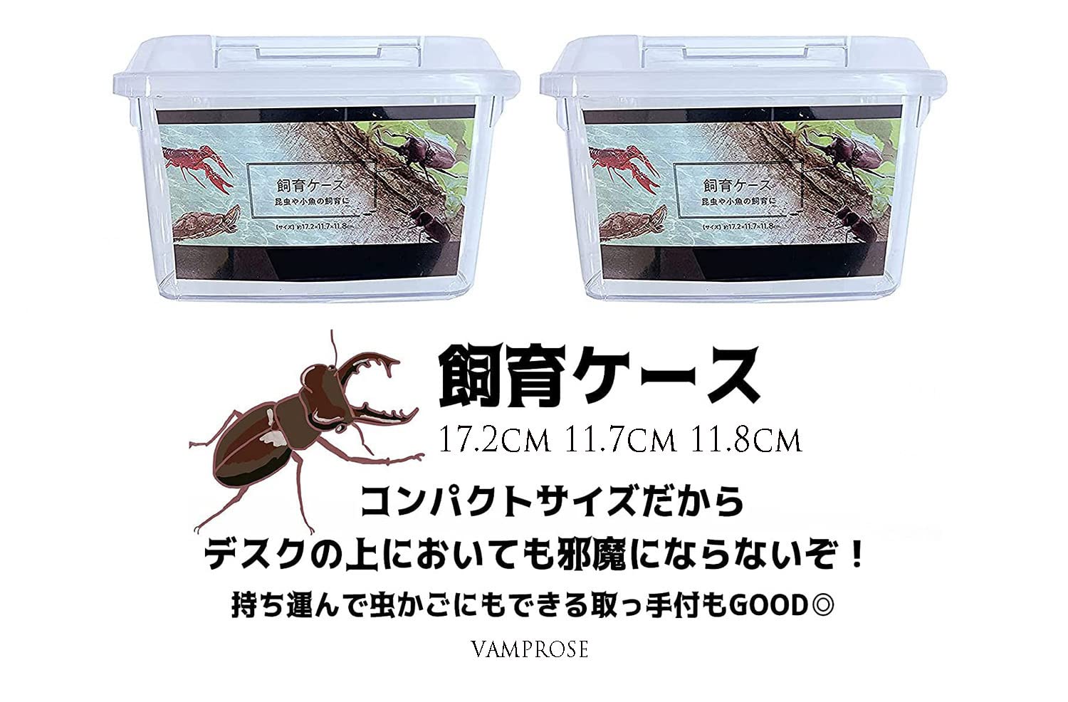 Amazon | 昆虫すごいぜ！ カブトムシ＆クワガタ 飼育 セット