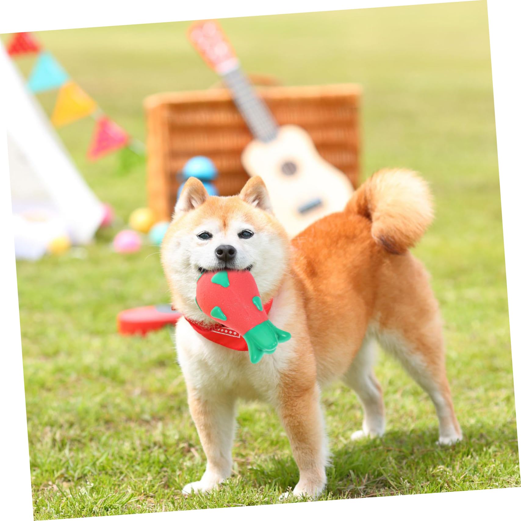 BESPORTBLE 6piezas Juguetes Interactivos para Perros Juguetes De Molar Adorables para Morder y Limpiar Dientes para Perros Pequeños y Material Suave y Seguro Previene Daños Muebles