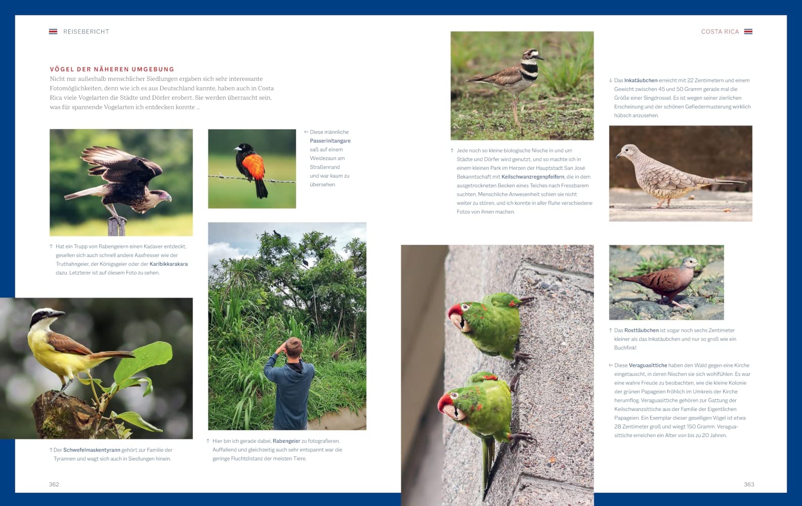 Die magische Welt unserer Vögel: Die heimische Vogelwelt ganz neu entdecken und schützen (BLV Vögel)