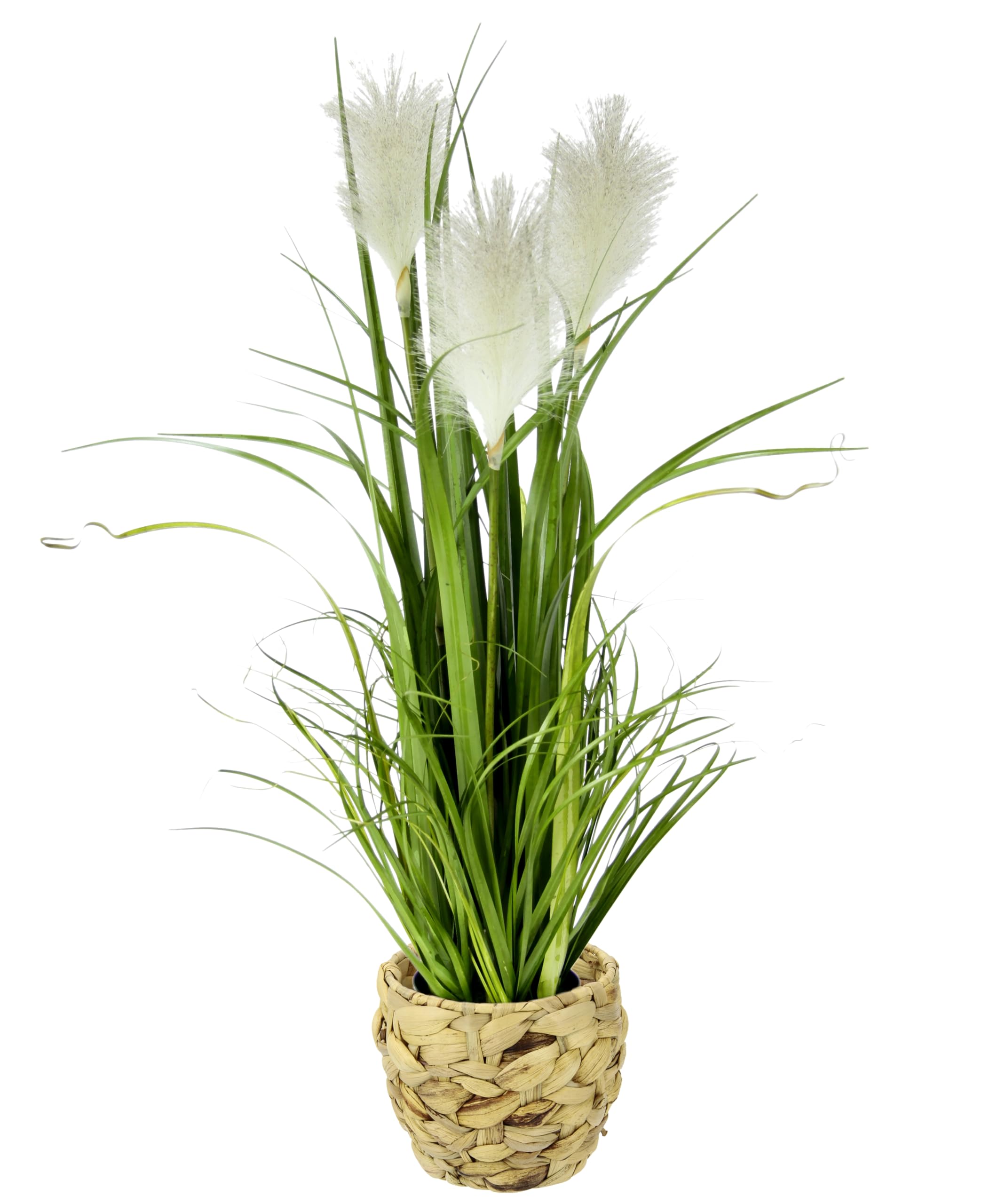 Künstliches Pampas Gras im Topf Feder Ufergras Seidenblume Grasbusch Dekogras Gras Gräser Kunstpflanze Pflanze Solitärgras Ziergras Dekopflanze Pampasgras Blume Kunstgras Grünpflanze Zimmerpflanze