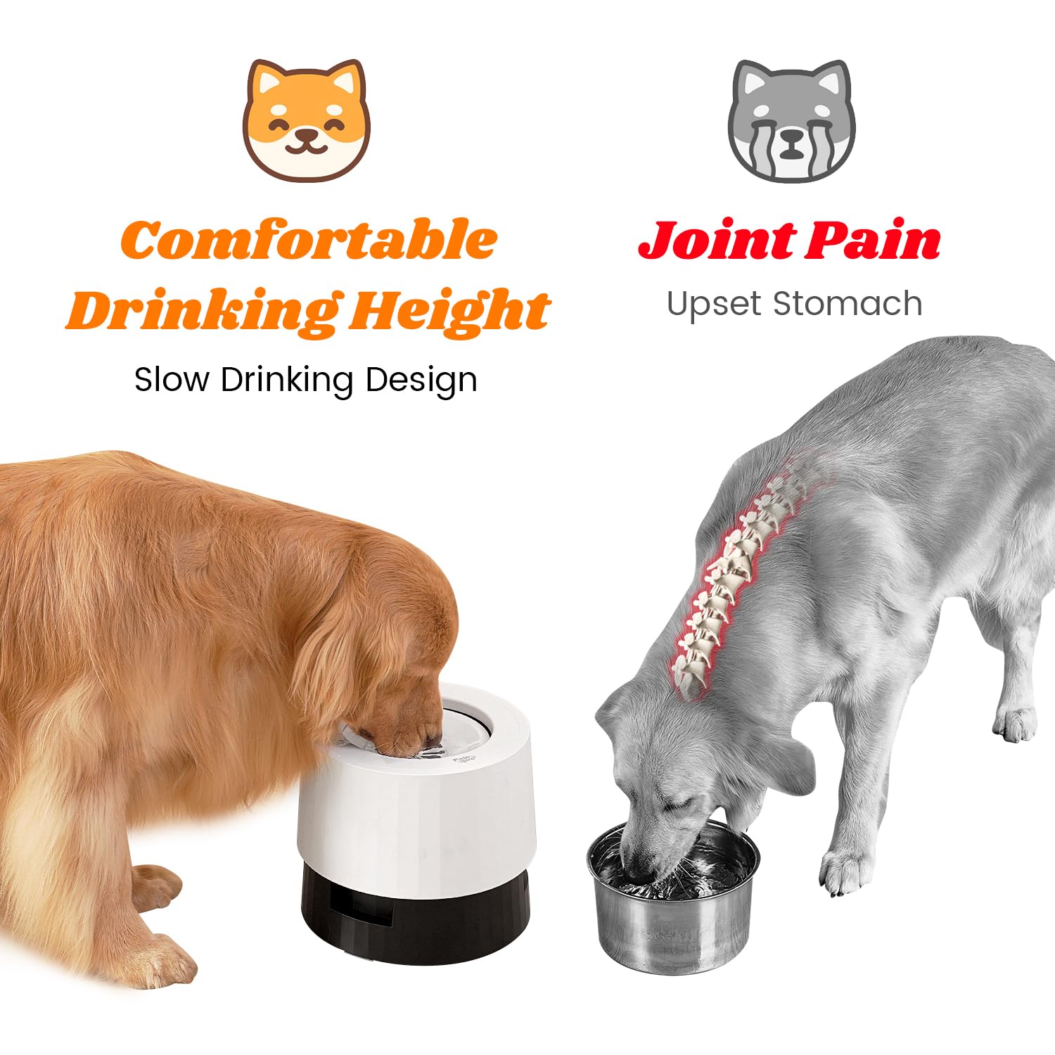 Pawque Cuenco elevado de agua para perros de 2,693.2 g, sin derrames, para razas medianas y grandes, cuenco de agua elevado individual de acero inoxidable con disco flotante, base resistente estable y