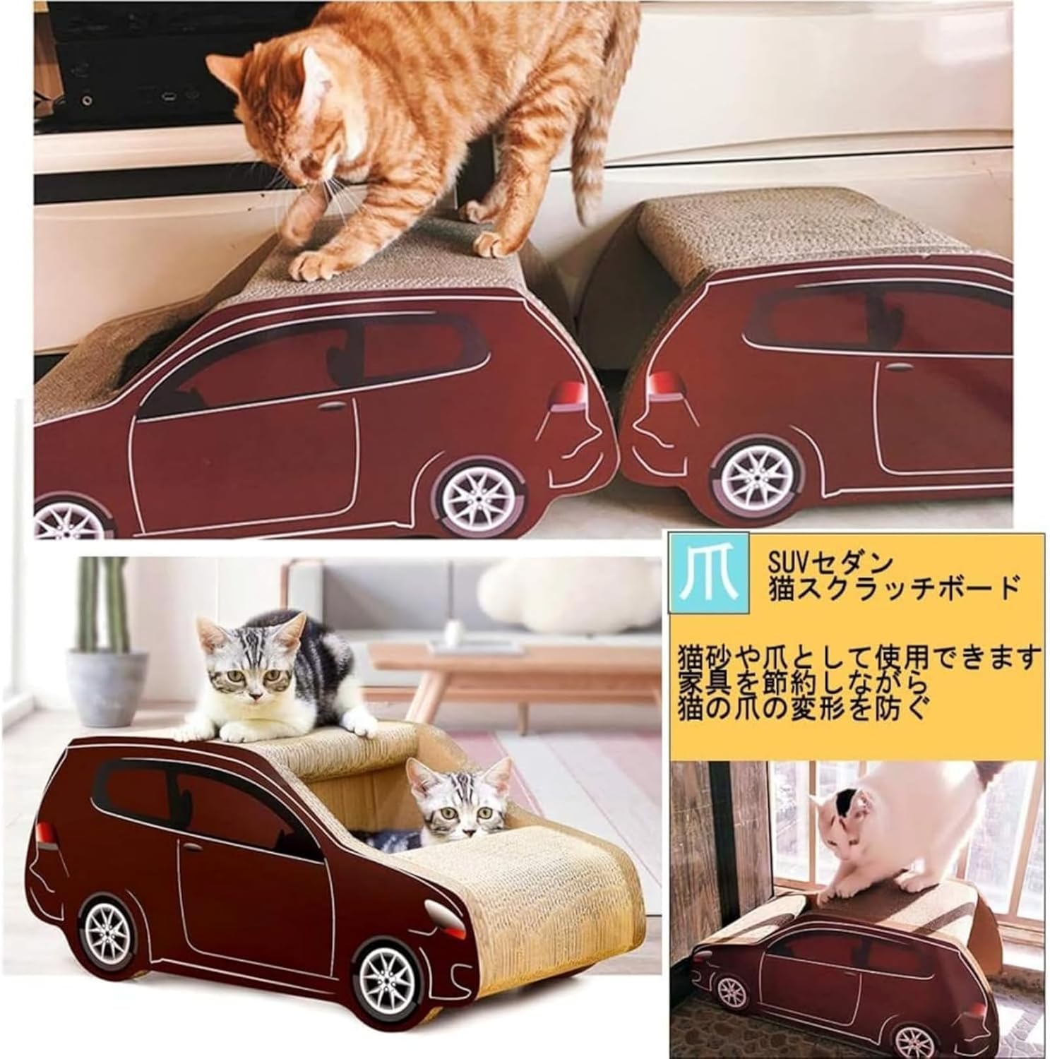 黒猫アイランド著 SP SP② 未使用 黒猫アイランド著 SP SP② 未使用 黒