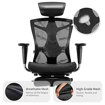 Amazon.com: SIHOO Ergonomic Office Chair with 4D Arms, 2-Way