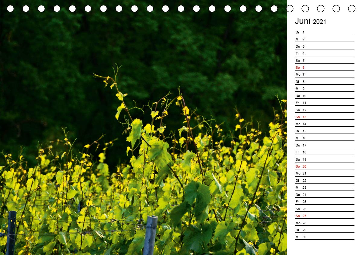 Landschaften des Kraichgaus (Tischkalender 2021 DIN A5 quer): Streuobstwiesen, Weinberge und Hohlwege prägen die Landschaft des Kraichgaus (Geburtstagskalender, 14 Seiten ) (CALVENDO Natur)