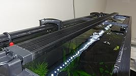 Review Image by FentonMike FentonMike