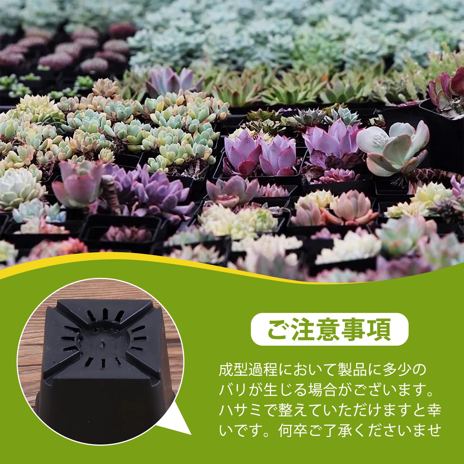 Amazon.co.jp: 【120個セット】育苗ポット 植物育児用ポット 7×7.5cm