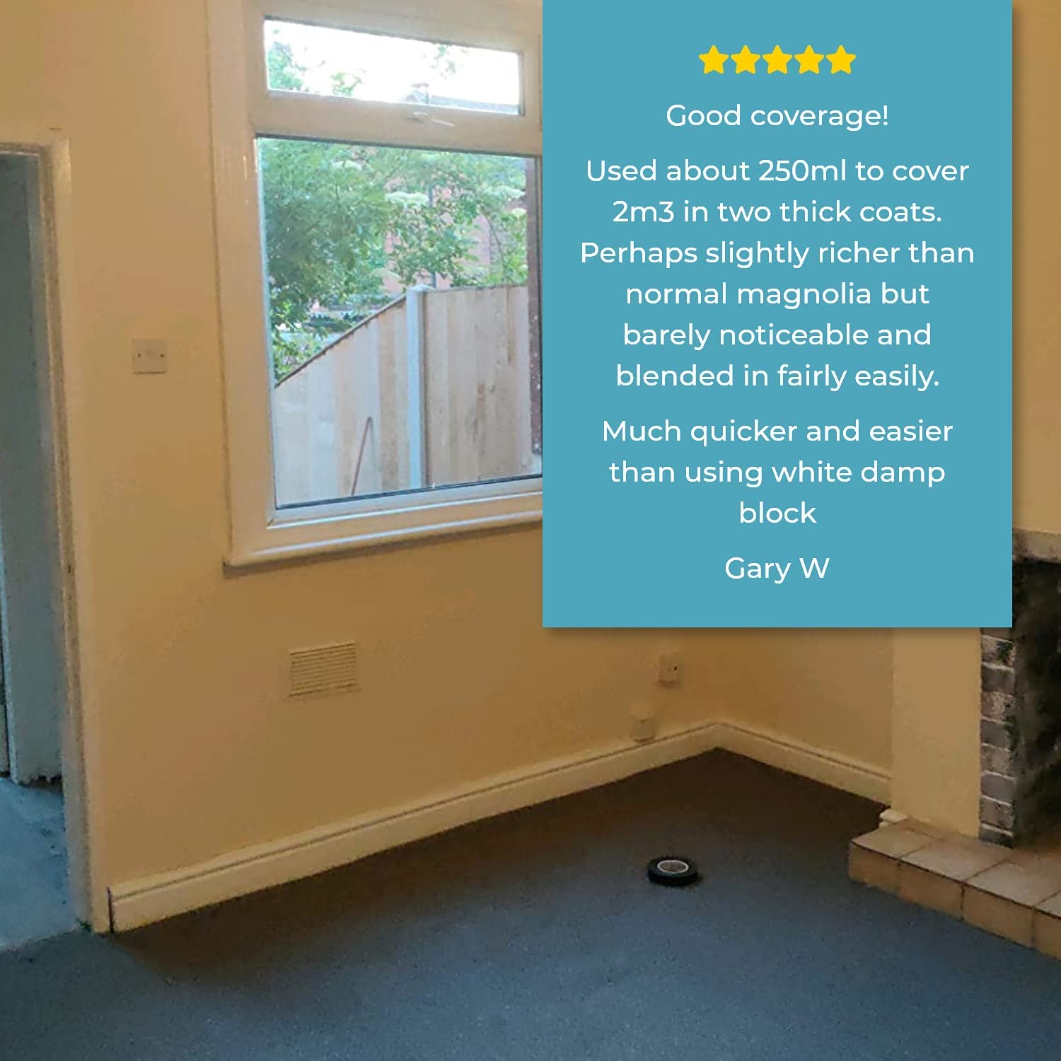 Polar Damp Seal White Anti Damp Paint 500ml, Damp Proof Paint Stain Blocker Seals in One Coat