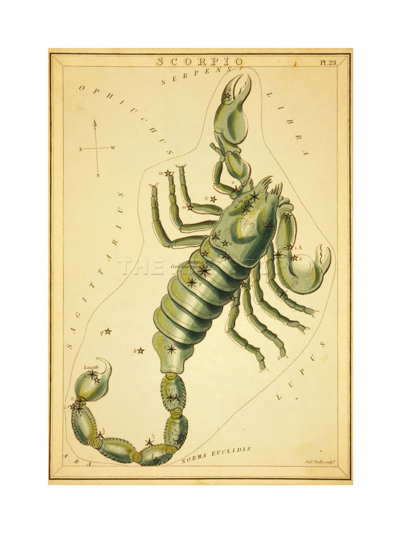 Wee Blue Coo Drawing Star Map Scorpio Scorpion Constellation Picture Wall Art Print