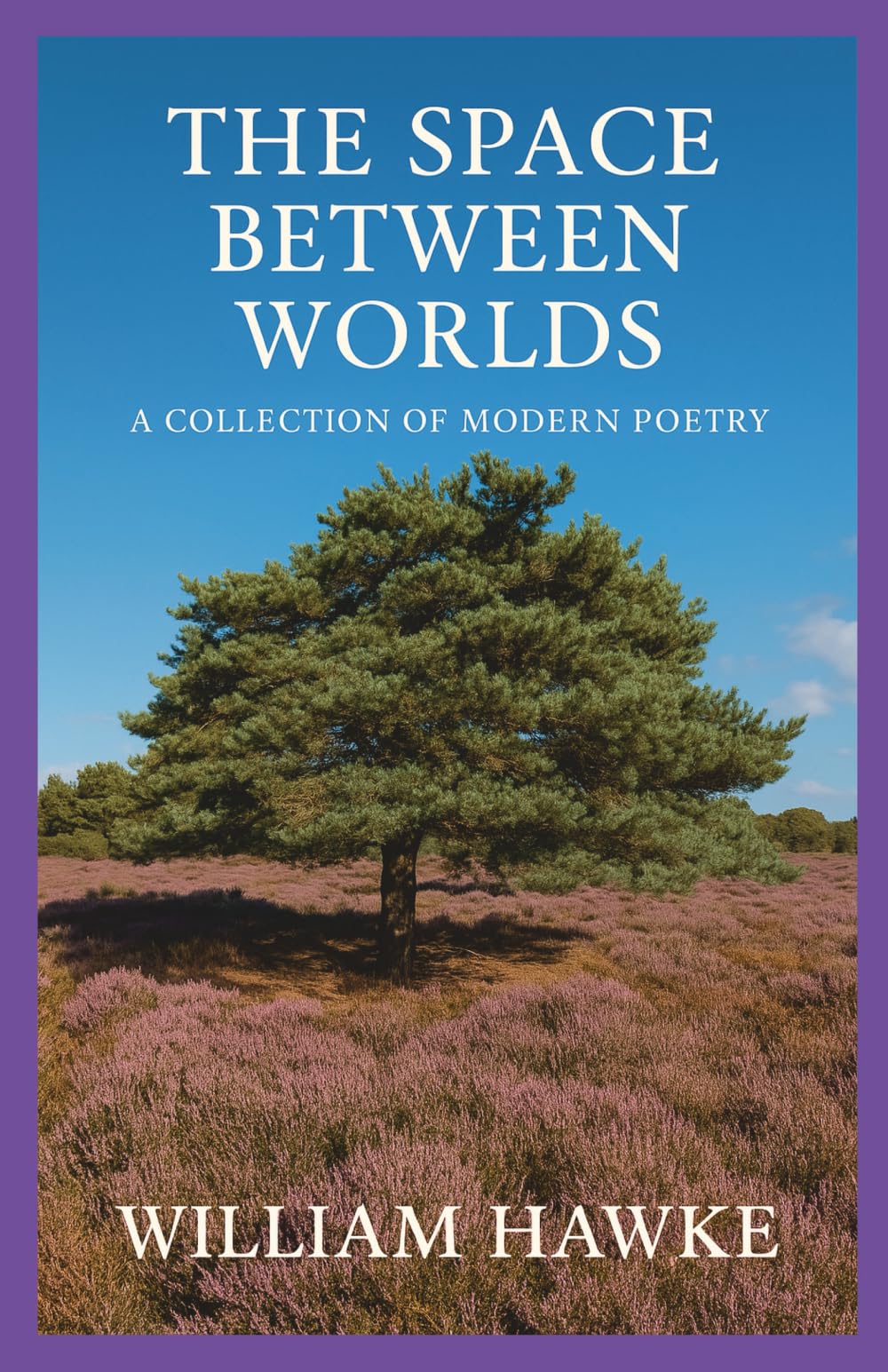 The Space Between Worlds: A collection of modern poetry
