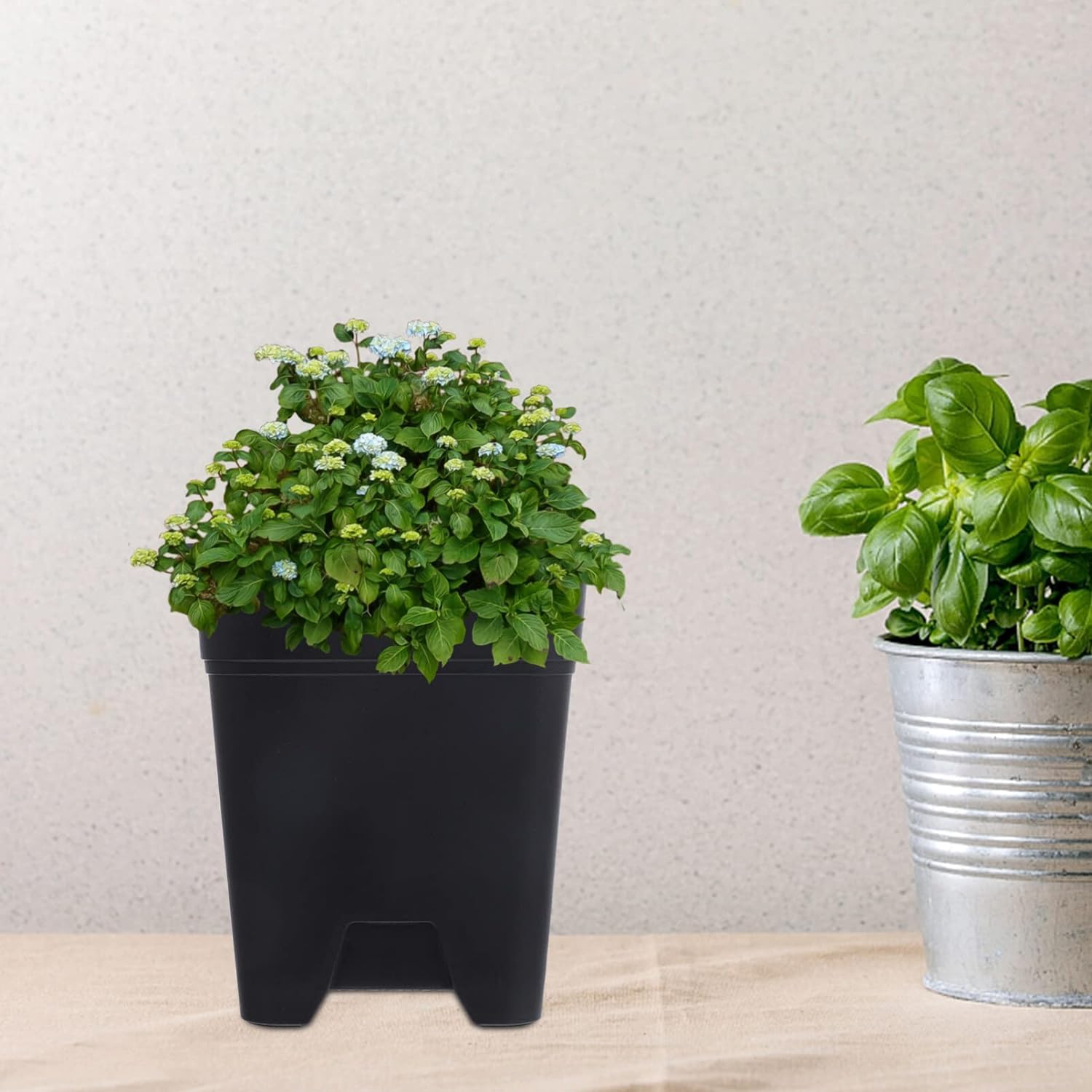 英国プラスチック植木鉢専用です 英国プラスチック植木鉢専用です 英国プラスチック植木鉢49×43