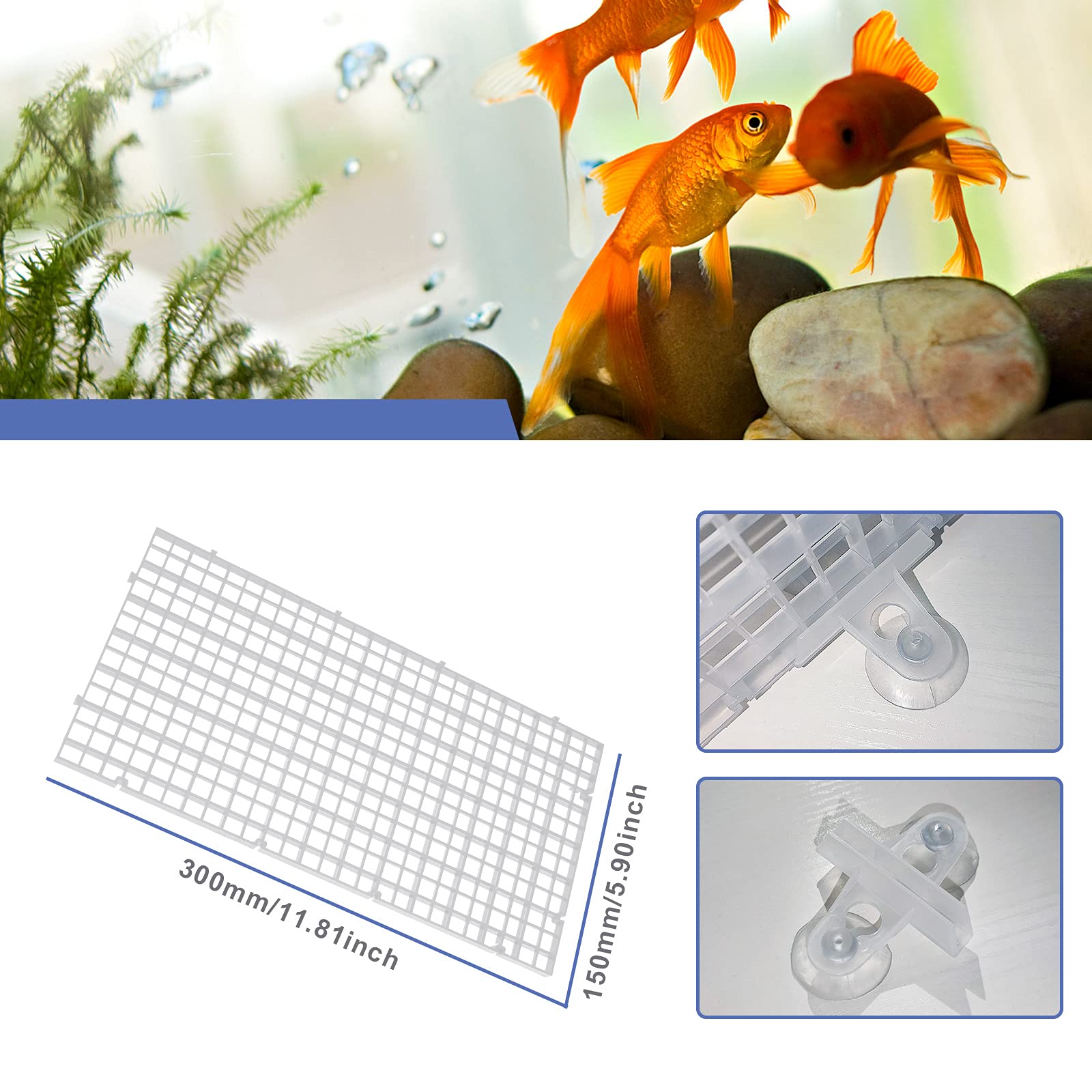 Lot de 10 panneaux d'isolation pour aquarium - Transparents - Mélange d'élevage - Pour protéger les différents poissons de la lutte - 20 clips à ventouse