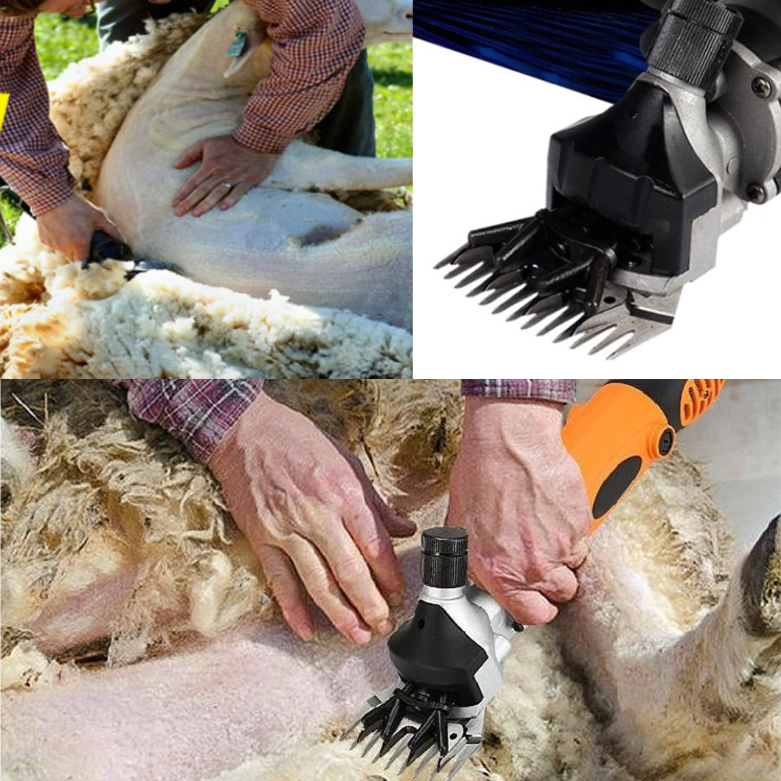 Lames De Cisailles Pour Moutons Et Chèvres - Lames Acier Inoxydable 9 Ou 13 Dents Droites Ou Incurvées