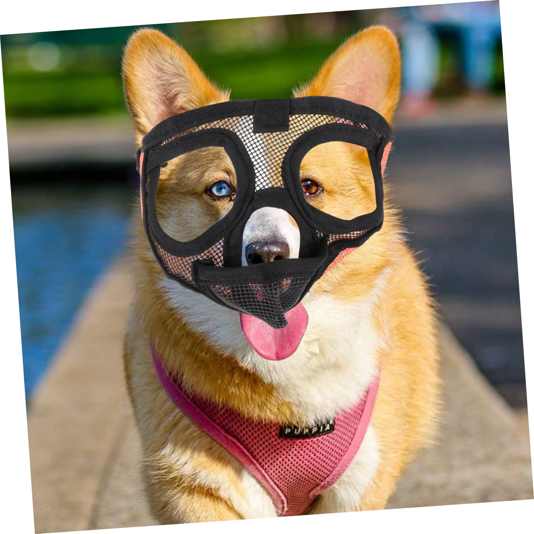 Sosoport 4pièces Muselière Respirante pour Chien Muzzle Anti-aboiement Et Anti-Morsure pour Chiens De Toutes Accessoire Pratique Et Confortable Matériau Résistant