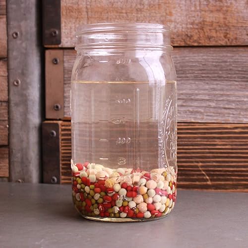 Miniatura 5 de Handy Pantry Tapa de colador para tarro germinado, sin BPA, se adapta a tarros Mason de boca ancha, para brotes de cultivo y otros usos, paquete de 2