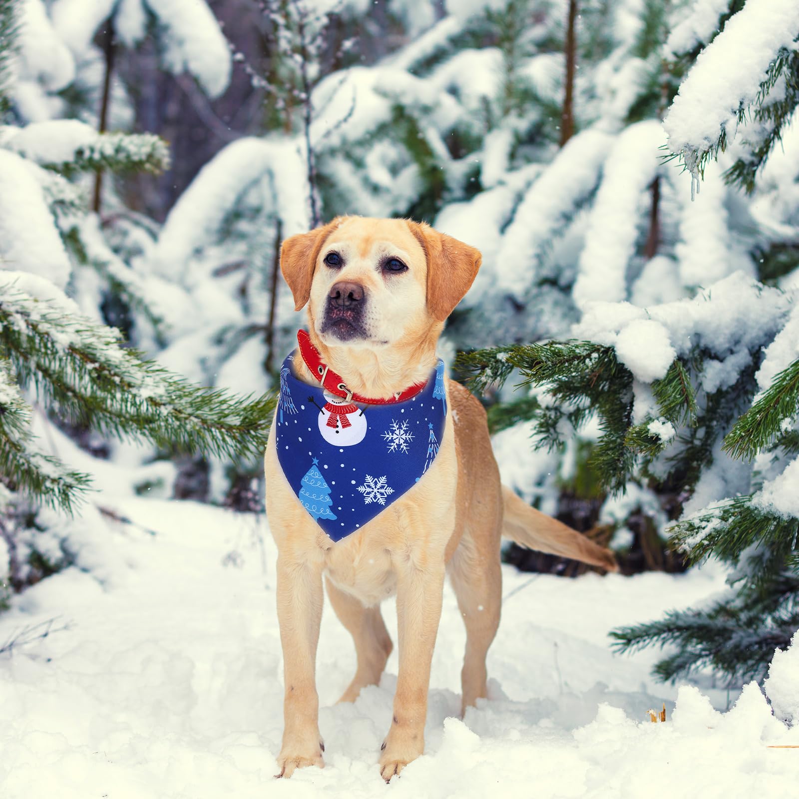 Abbylike Juego de 100 pañuelos de Invierno para Perro, diseño de Copo de Nieve, Color Azul, para Perros, pañuelos, Baberos, Bufanda Triangular para Perro con Patrones de Copo de Nieve para Invierno,