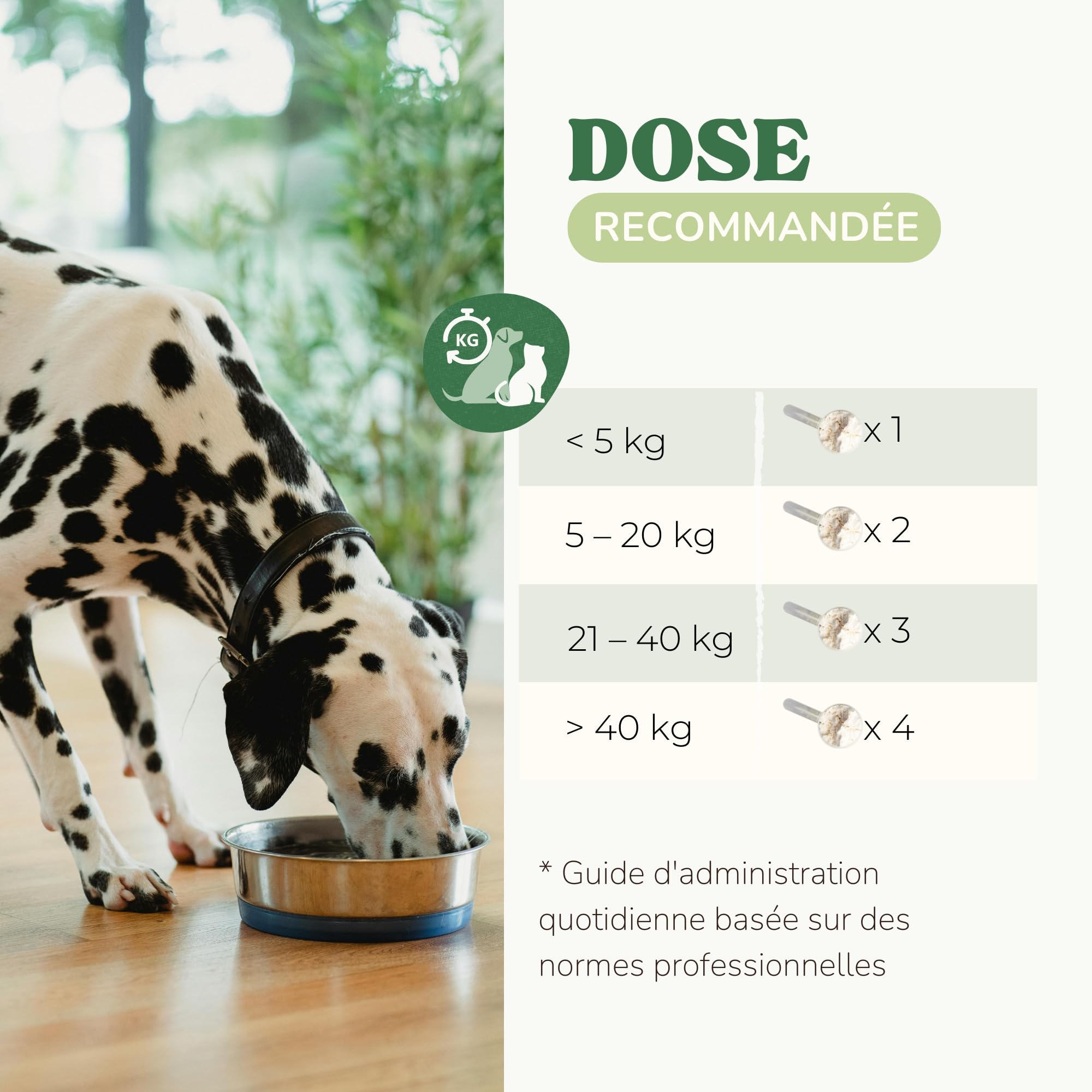 Poudre Anti Mauvaise Haleine Chien et Chat avec Algues Kelp et Chlorophylline, Remède Naturel Anti Tartre Chien et pour Réduire la Plaque Dentaire, Alternative au Dentifrice