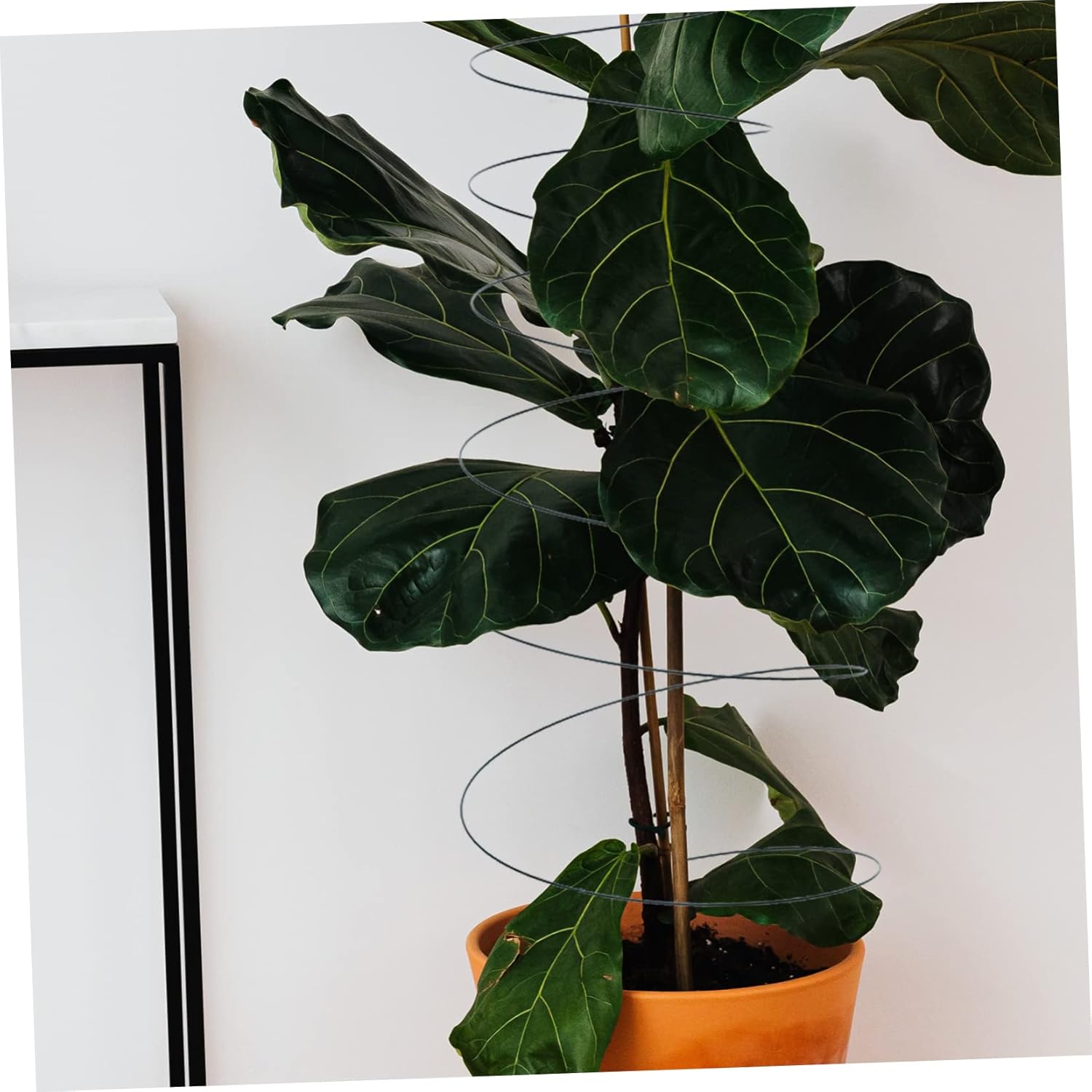 2pcs Spiral Plant Support Stakes Garden Support for Climbing Plants Tomatoes Vines Creative and